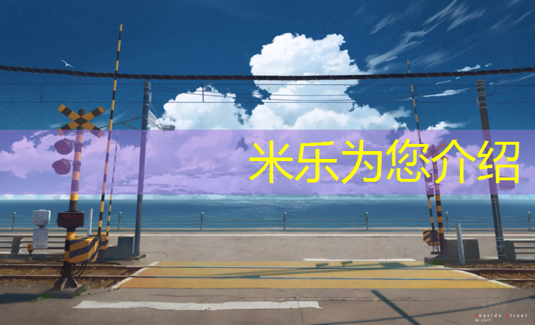 <strong>米乐为您介绍：标点塑胶跑道</strong>